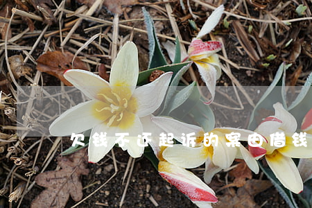 欠钱不还起诉的案由(借钱不还起诉的案由)