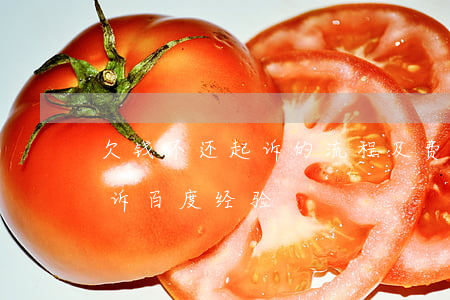 欠钱不还起诉的流程及费用标准（欠钱不还起诉百度经验）