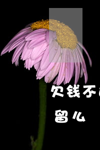 欠钱不还起诉能做牢吗(欠钱不还起诉后能拘留么)