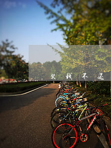 欠钱不还起诉表范文(欠钱不还起诉状如何写)
