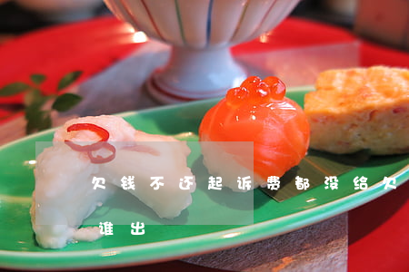 欠钱不还起诉费都没给(欠钱不还起诉诉讼费谁出)