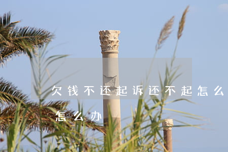 欠钱不还起诉还不起怎么办（欠钱还不起起诉怎么办）