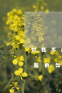 欠钱不还跑了怎么起诉(欠钱不还跑了怎么办最有效的方法)