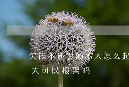 欠钱不还金额不大怎么起诉(欠钱不还数额巨大可以报警吗)