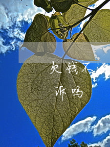 欠钱不还钱当地起诉 欠钱不还去当地法院起诉吗