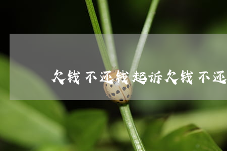 欠钱不还钱起诉(欠钱不还钱起诉流程)
