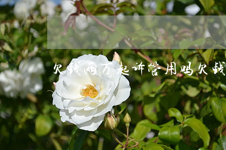 欠钱两万起诉管用吗 欠钱俩万起诉有用吗