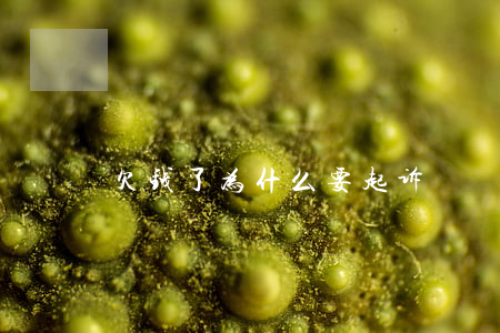 欠钱了为什么要起诉