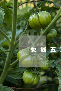 欠钱五万值得起诉吗 欠钱五万可以起诉吗