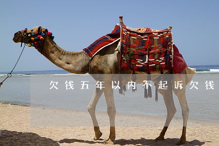 欠钱五年以内不起诉(欠钱五年以内不起诉)
