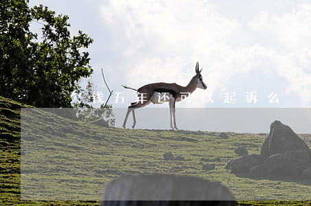 欠钱五年还可以起诉么