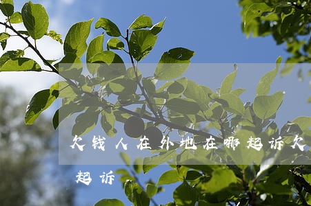欠钱人在外地在哪起诉(欠款人在外地在哪里起诉)