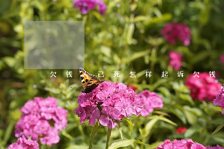 欠钱人已死怎样起诉(欠钱人已死怎样起诉)