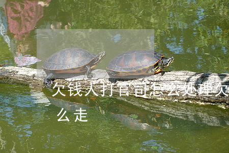 欠钱人打官司怎么处理 欠钱打官司的流程怎么走