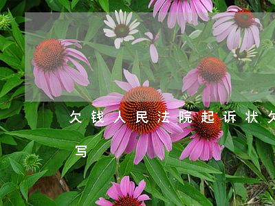 欠钱人民法院起诉状(欠款法院起诉状纸怎么写)