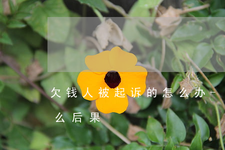 欠钱人被起诉的怎么办-欠人钱被起诉有什么后果