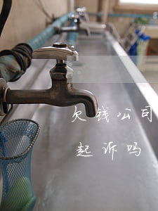 欠钱公司有权起诉吗怎么起诉（欠钱公司有权起诉吗）