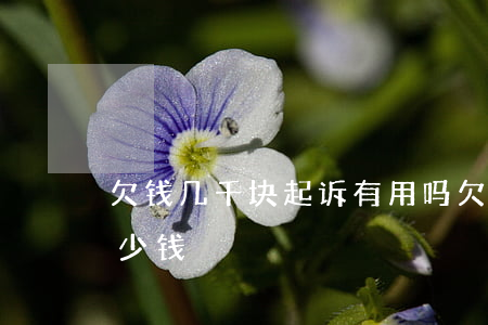 欠钱几千块起诉有用吗(欠款几千块起诉费多少钱)