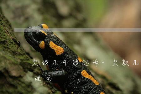 欠钱几千够起诉-欠款几千块钱起诉法院受理吗