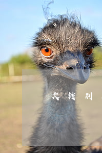 欠钱别人起诉你（别人说我欠钱被起诉了）