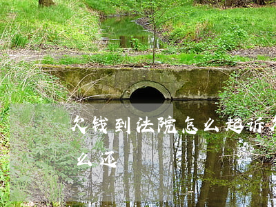 欠钱到法院怎么起诉(欠别人钱法院起诉了怎么还)