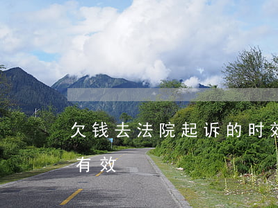 欠钱去法院起诉的时效(欠钱法院起诉后几年有效)