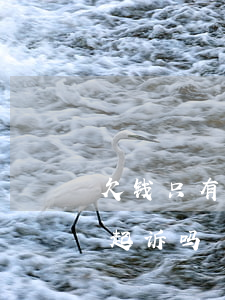 欠钱只有微信号怎么起诉(微信上承认欠钱能起诉吗)