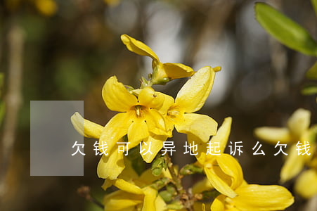 欠钱可以异地起诉么 欠钱可以异地起诉么嘛