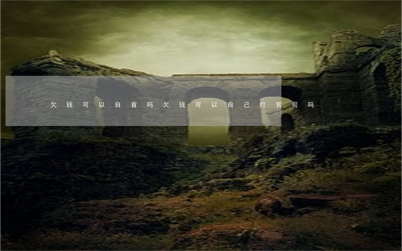 欠钱可以自首吗（欠钱可以自己打官司吗）