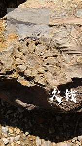 欠钱可以远程起诉么(欠钱可以跨省起诉吗)