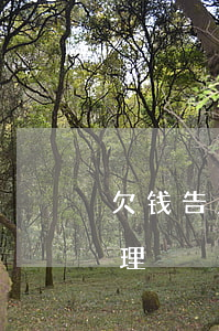 欠钱告上法庭怎么处理(欠钱起诉法院怎么处理)