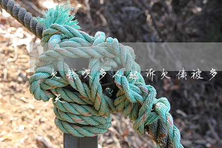 欠钱呗多人起诉(欠债被多人起诉会被拘留几天)