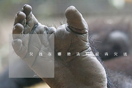 欠钱在哪地法院起诉(欠钱在哪地法院起诉)