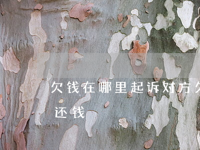 欠钱在哪里起诉对方(欠钱在哪里起诉对方不还钱)