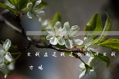 欠钱在还钱还能起诉(欠钱在还钱还能起诉对方吗)