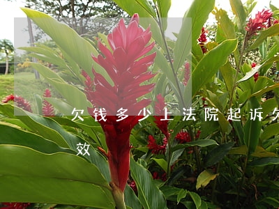 欠钱多少上法院起诉(欠钱多少上法院起诉有效)