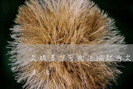 欠钱多少可向法院起诉(欠钱多少可以向法院起诉)