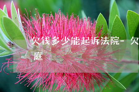 欠钱多少能起诉法院-欠钱多少可以告上法庭