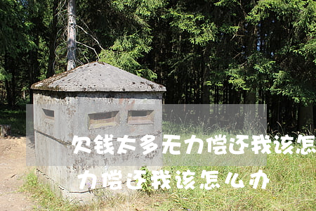 欠钱太多无力偿还 我该怎么办-欠钱太多无力偿还我该怎么办