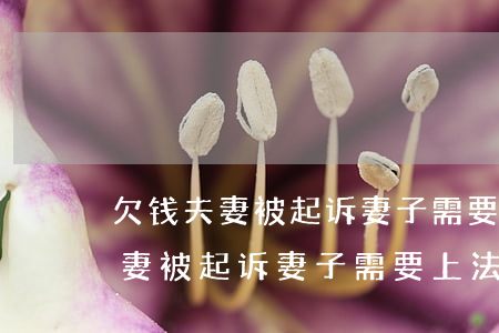 欠钱夫妻被起诉妻子需要上法庭吗-欠钱夫妻被起诉妻子需要上法庭吗知乎