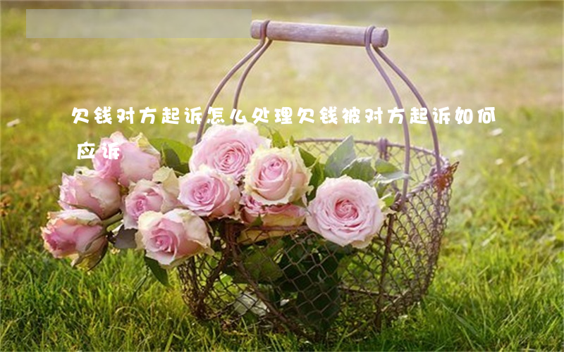 欠钱对方起诉怎么处理 欠钱被对方起诉如何应诉