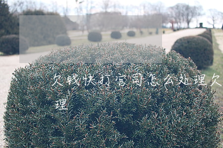 欠钱快打官司怎么处理 欠钱快打官司怎么处理