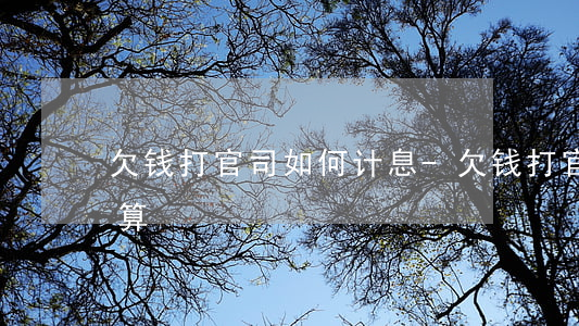 欠钱打官司如何计息-欠钱打官司利息怎么算
