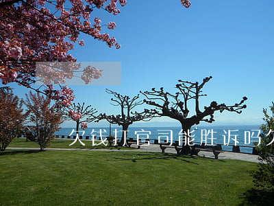 欠钱打官司能胜诉吗(欠账打官司)