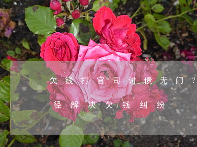 欠钱打官司，讨债无门？了解如何通过法律途径解决欠钱纠纷