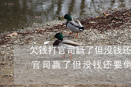 欠钱打官司赢了但没钱还要倒贴钱-欠钱打官司赢了但没钱还要倒贴钱吗