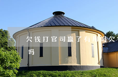 欠钱打官司赢了有用吗(欠钱打官司能要回来吗)