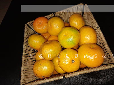 欠钱打官司还钱(打官司还钱需要多久)