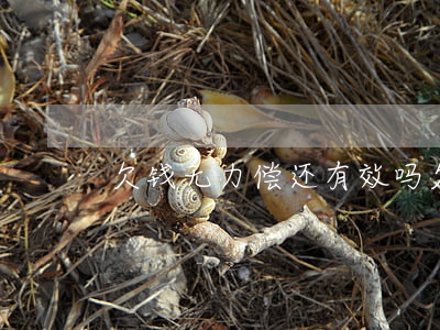 欠钱无力偿还有效吗(欠钱实在无力偿还)