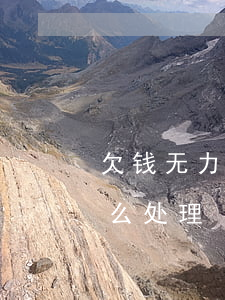 欠钱无力偿还被辱骂(欠钱无力偿还被辱骂怎么处理)